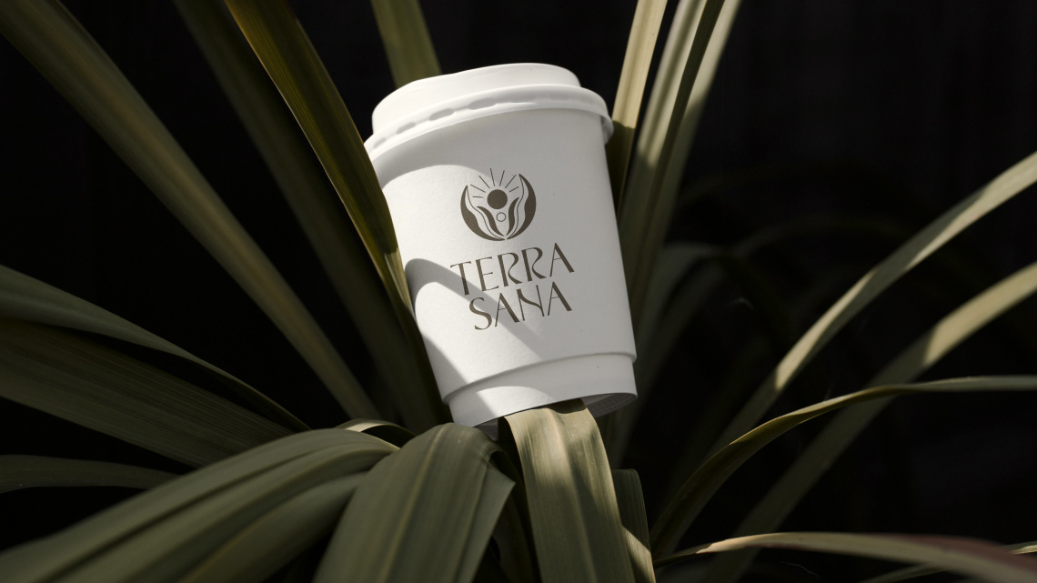 Обзор дизайна для бренда TERRA SANA