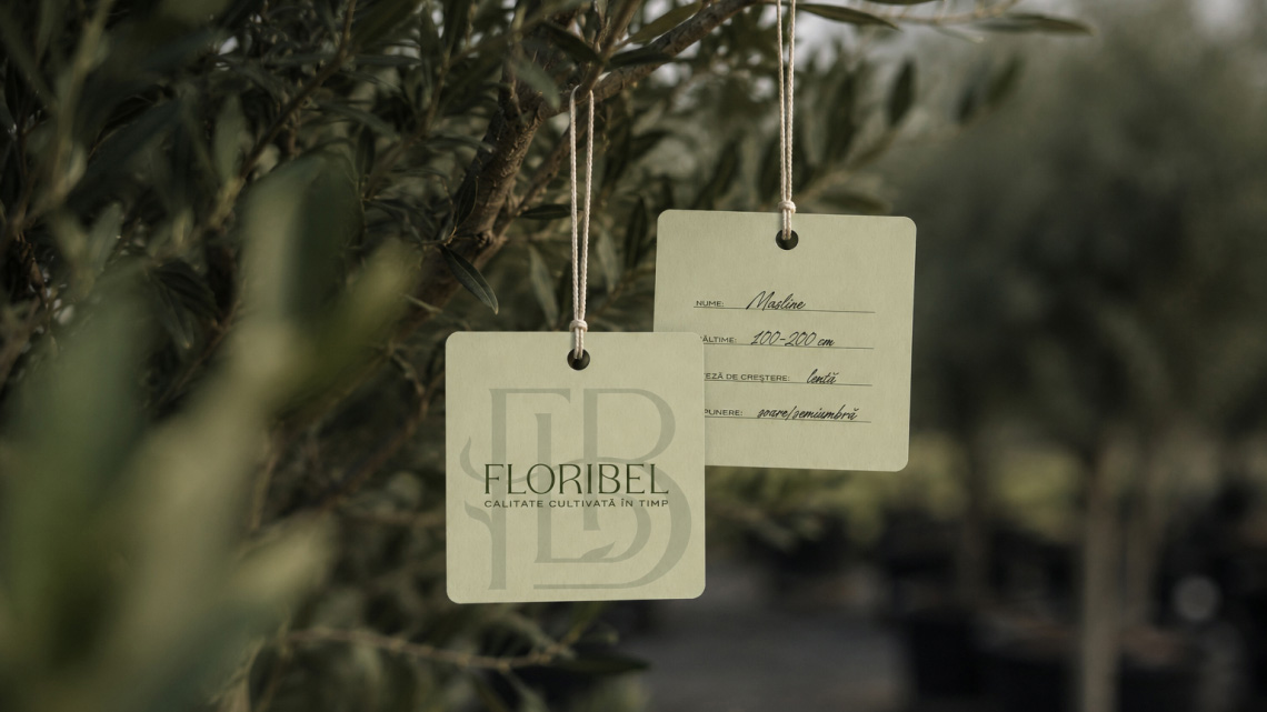 Огляд дизайну для бренду Floribel