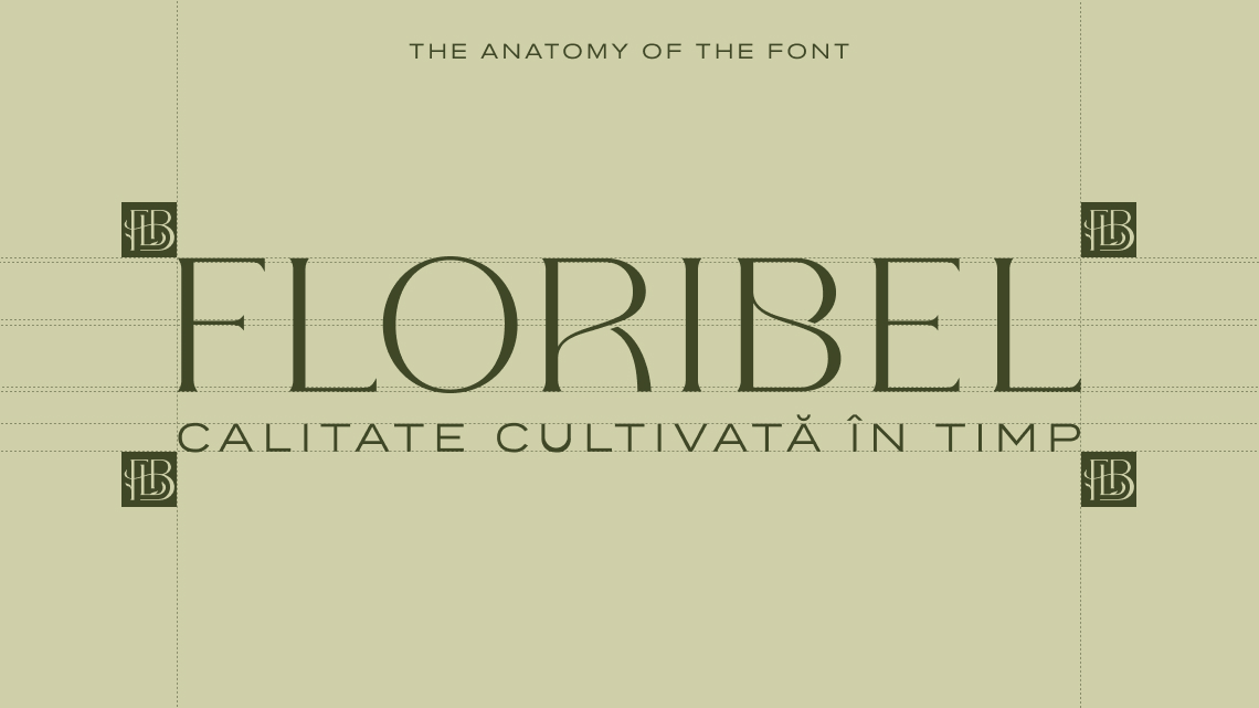 Огляд дизайну для бренду Floribel