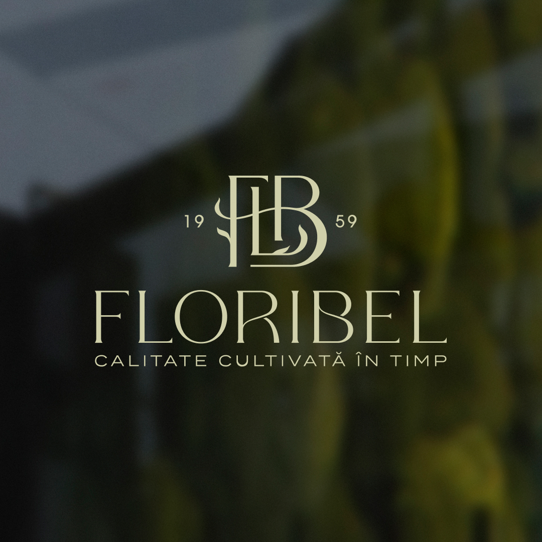 Разработка логотипа и дизайна для бренда Floribel
